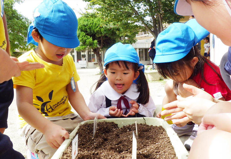 ひまわり学園の特徴